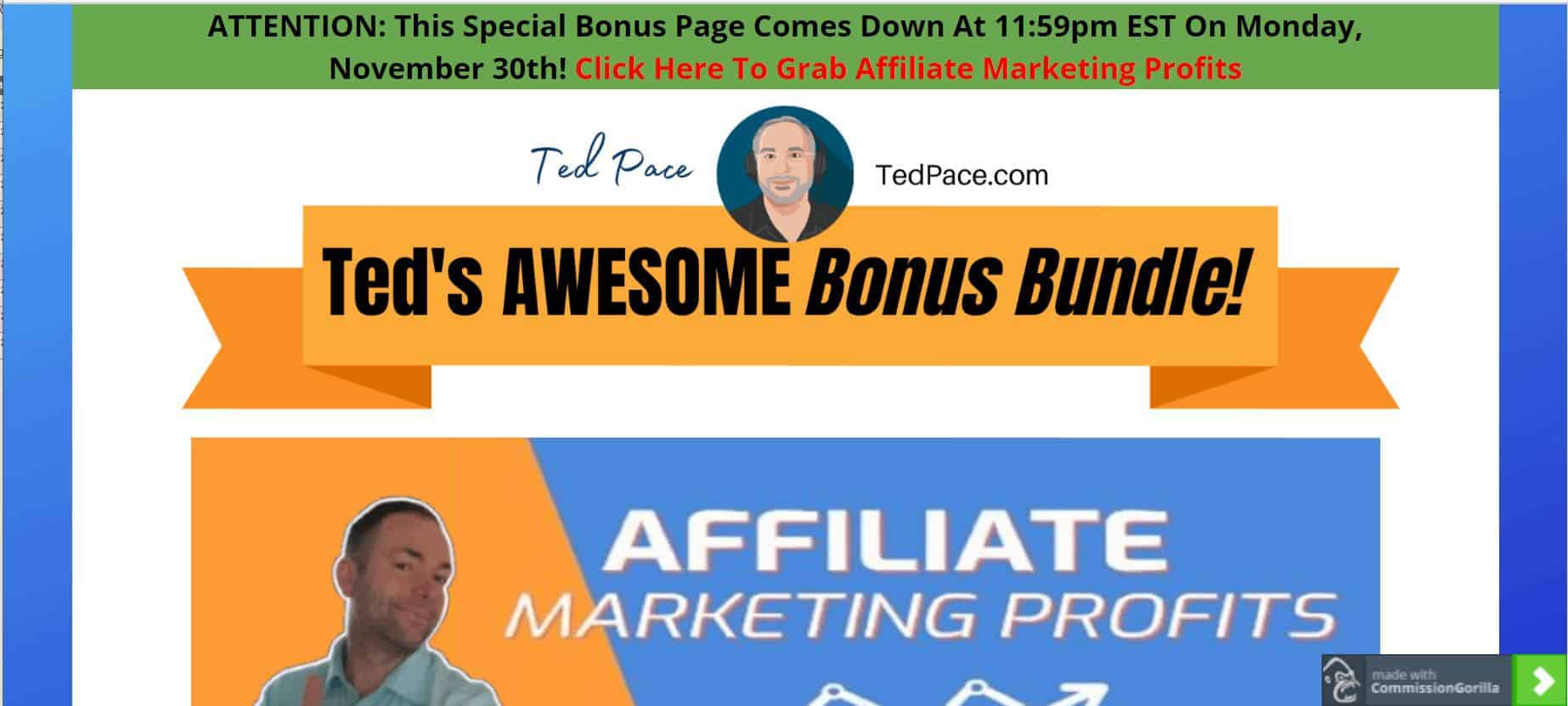 Affiliate Marketing Profits bonus page