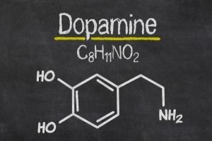 Alive Weightloss Supplement and Dopamine